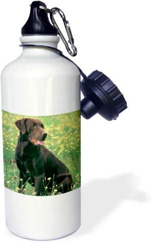3dRose Chocolate Labrador Retriever Sports Water Bottle, 21 oz, White