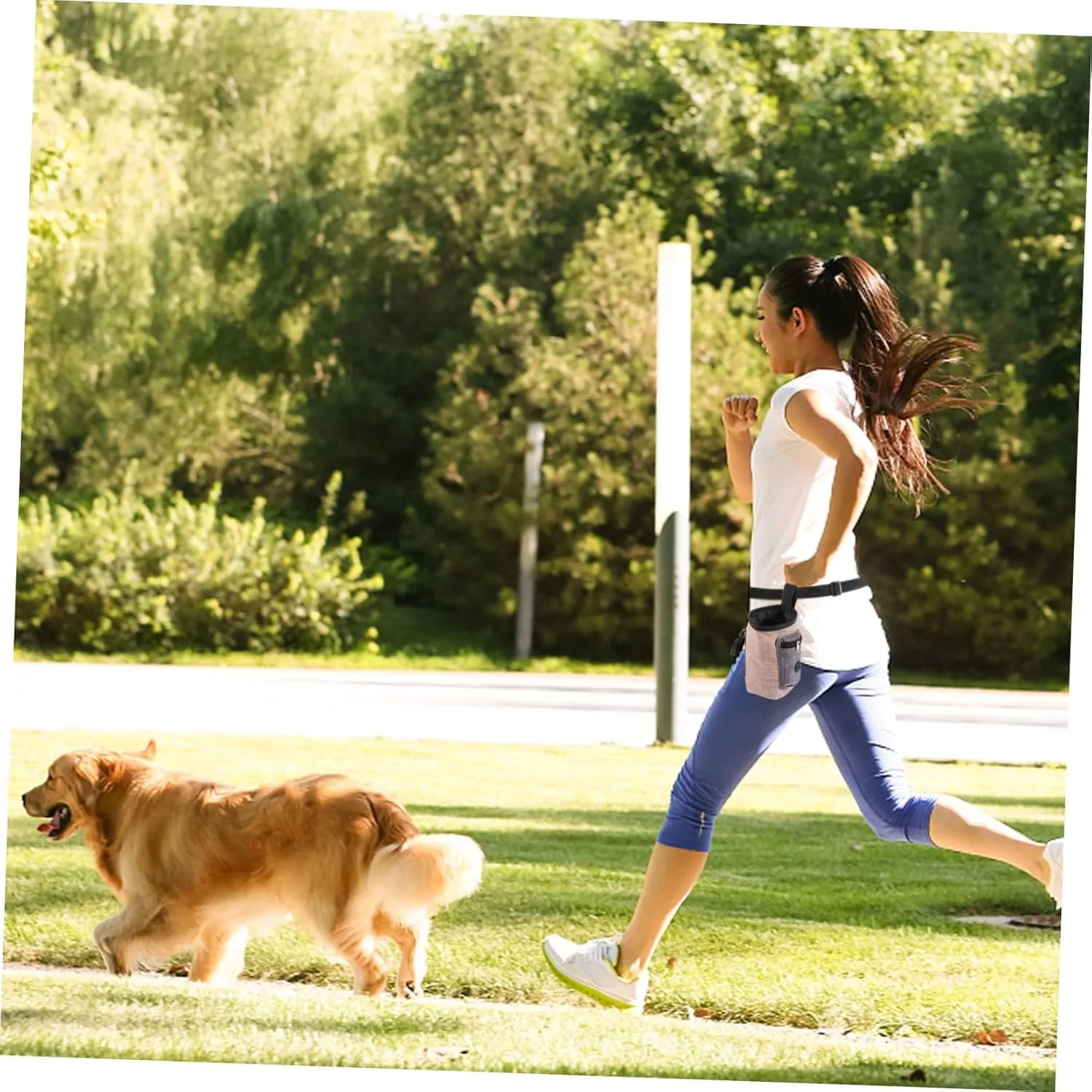 3pcs Dog Training Pouch for Treats Small Dog Bag Pet Outdoor Reward Bag Durable Flax Material