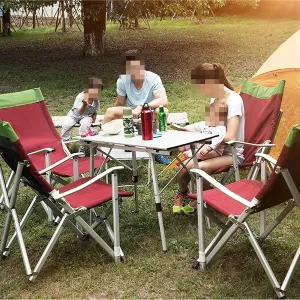 Camping Chair Fishing Chair with Foldable Backrest, Camping Ultralight Aluminum Tube Seat Stool Backpack Chair with Handrail Folding Chair (Color : Grün) (Grün One Size)