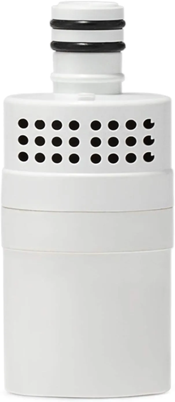 Classic 27oz Filter Bottle Water Bottle Polar Bear stainless steel Camping Hiking Backpacking Outdoor Emergency