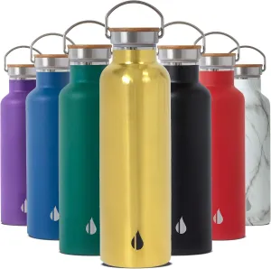 Elemental Classic Stainless Steel Water Bottle - 25oz Leak Proof Double Wall Insulated Water Bottle for Travel, Gym, Sports and Hydration - Thermos Water Bottles with Bamboo Lid - Gold