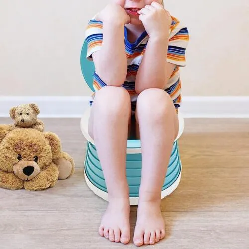 Foldable Travel Potty Seat, Portable Potty Training Toilet for Kids, Toddlers