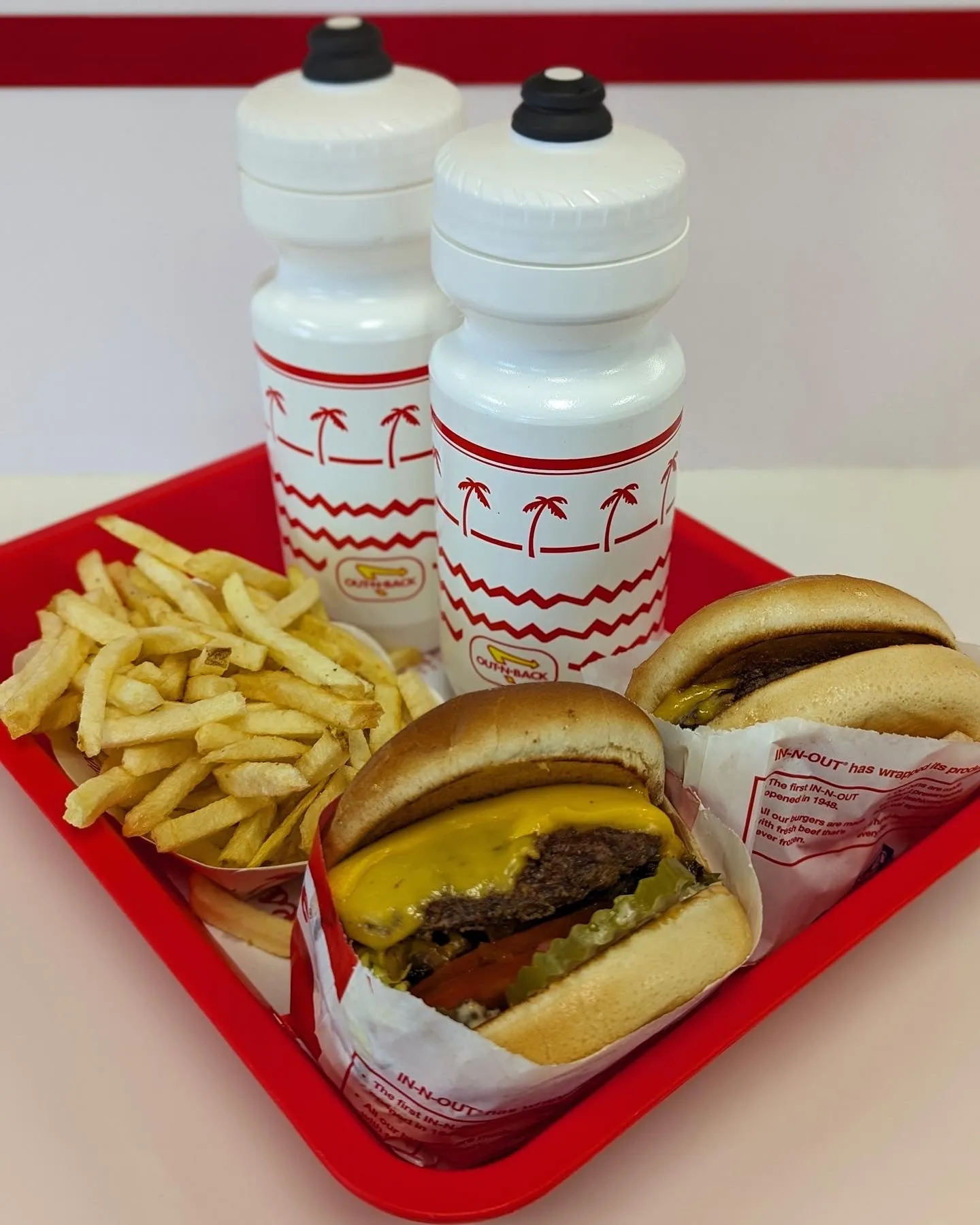 Out-n-Back - BPA Free Water Bottle