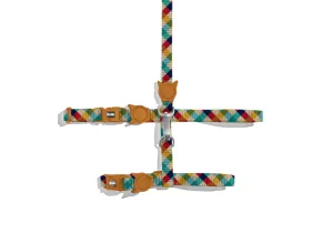 Phantom Harness   Leash Set