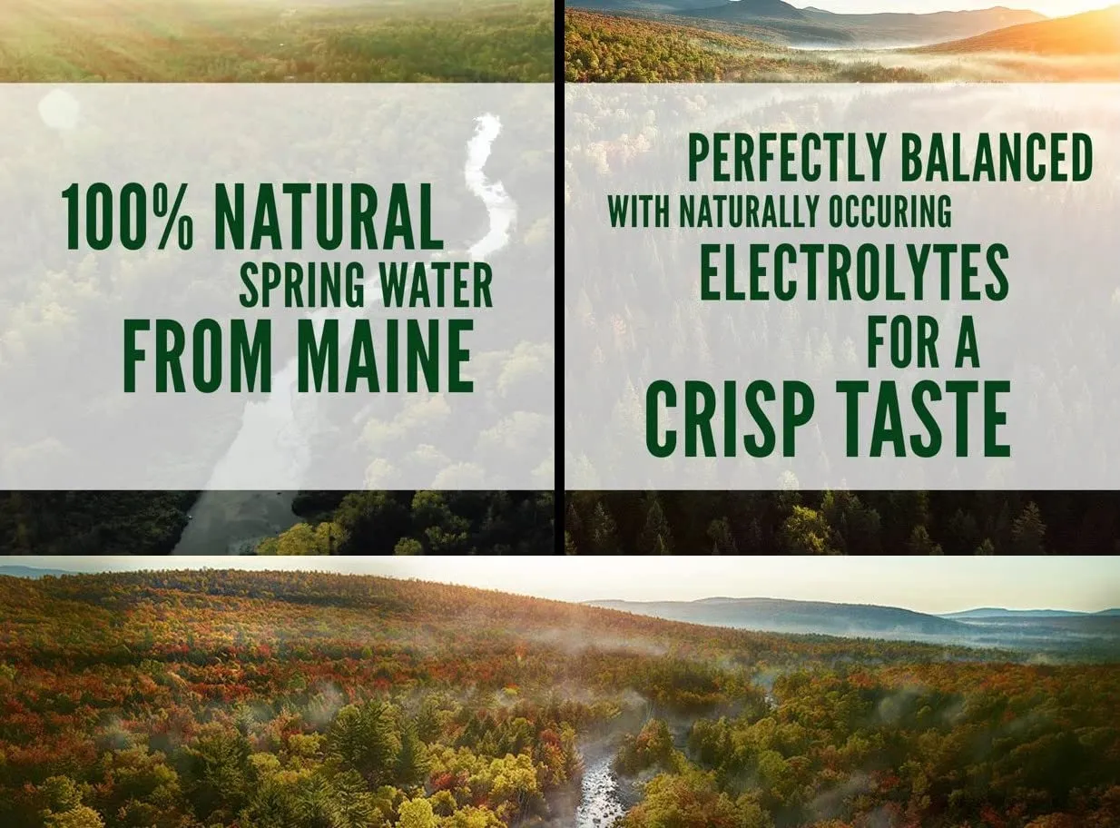 Poland Spring Water Bottles 24 Pack - Bottled Water, Small Water Bottles, Mini Water Bottle, Poland Spring 8 oz Bottled Water 24 Pack, 8 oz water bottles Drinking Water - Spring Water Bottles 24 Pack