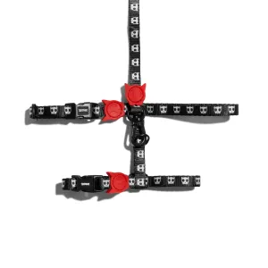 Skull 2.0 Harness   Leash Set