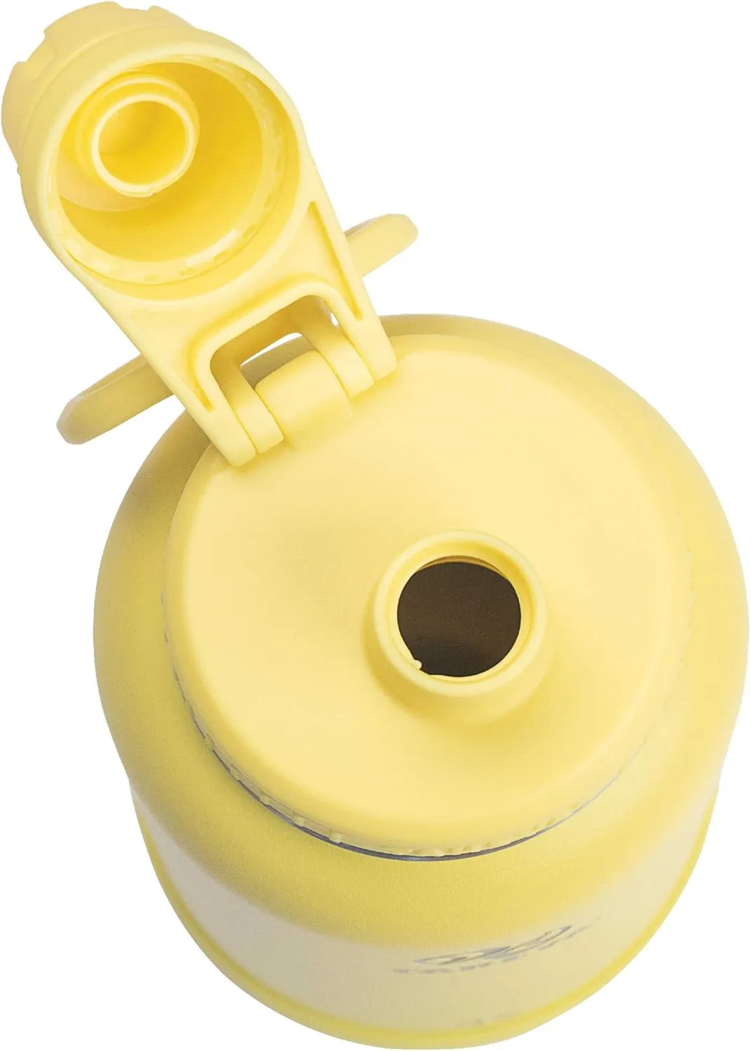 Takeya Actives Insulated Stainless Steel Water Bottle with Spout Lid, 18 Ounce, Canary
