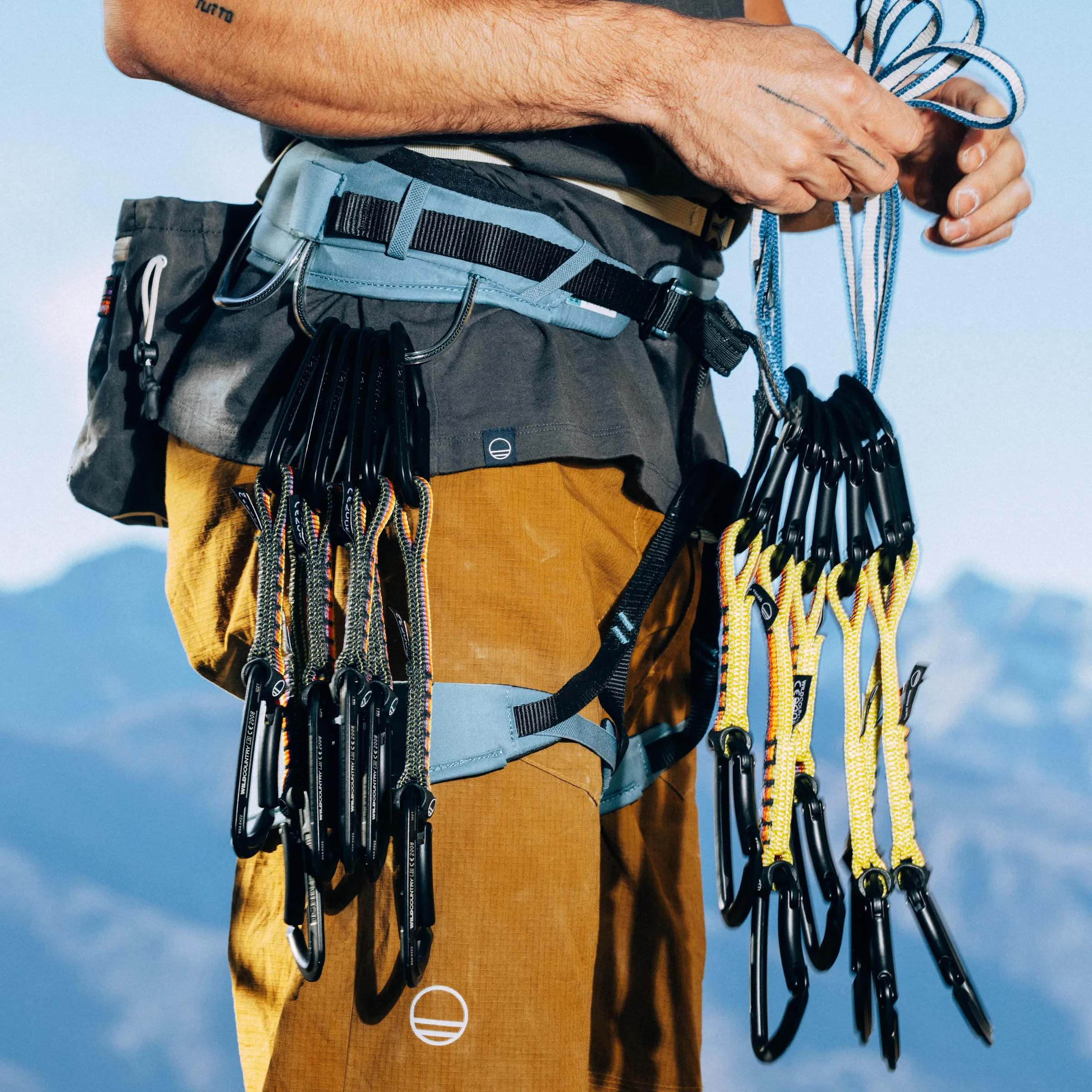 Wild Country Climbing Session Quickdraw