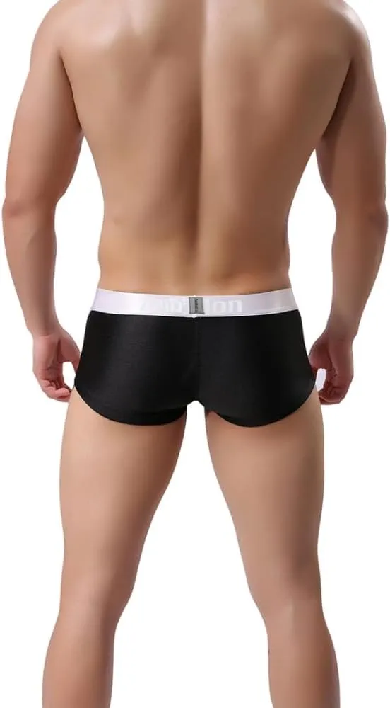 ZONBAILON Mens Sexy Ice Silk Boxer Briefs Underwear Low Rise Bulge Enhancing Pouch Trunks Pack M L XL 2XL 3XL