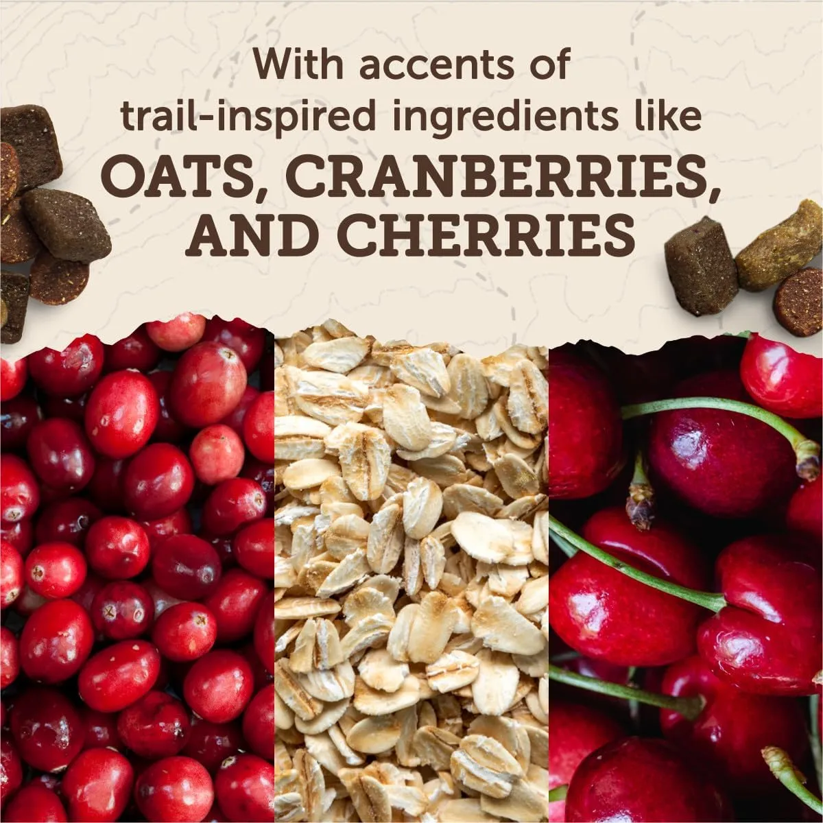 Zukes Trail Mix Pet Treats for Dogs, Soft Dog Treats with Real Chicken Recipe - 16 oz. Pouch